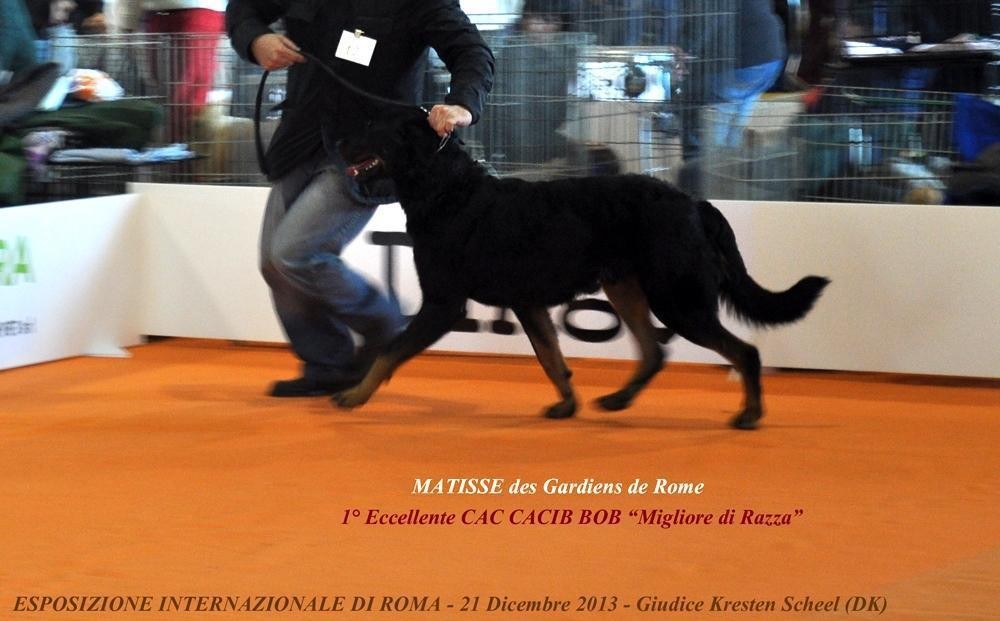 Esposizione Internazionale di Roma - 21 Dicembre 2013 - Des Gardiens de Rome