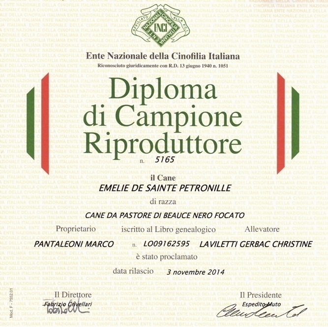 Campione Riproduttore - Des Gardiens de Rome