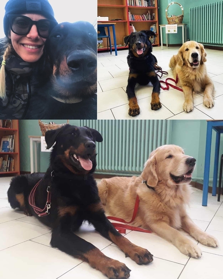 il Beauceron e la Pet Therapy - Des Gardiens de Rome
