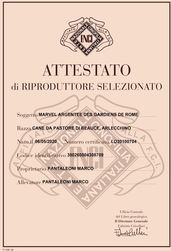 Riproduttore Selezionato - Des Gardiens de Rome