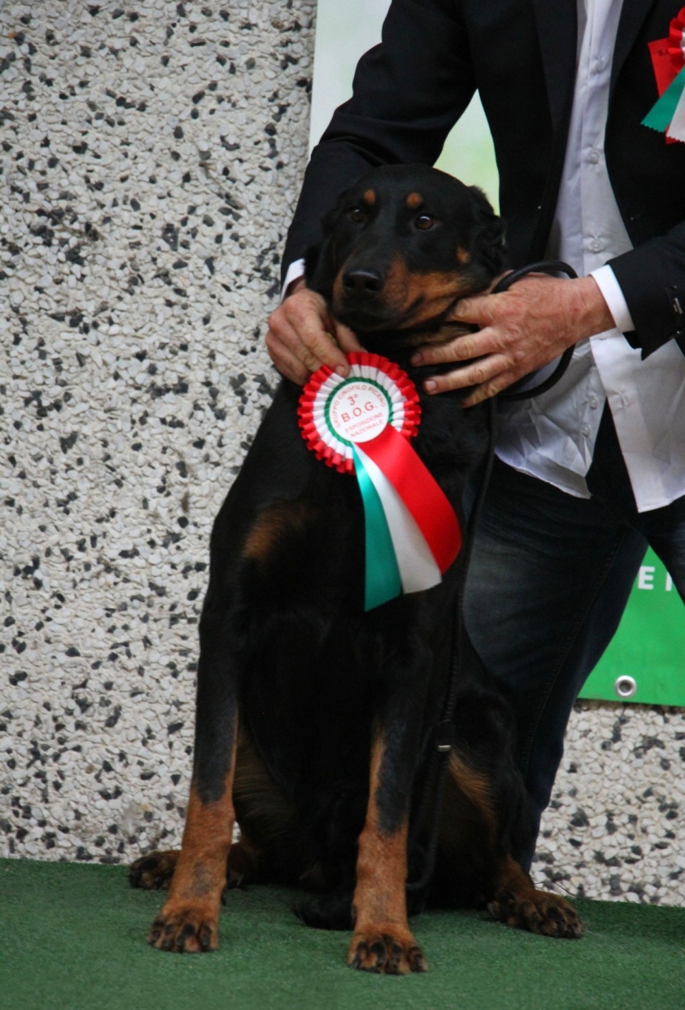 Expo Nazionale di Ascoli Piceno, 18 Maggio 2025 - Des Gardiens de Rome