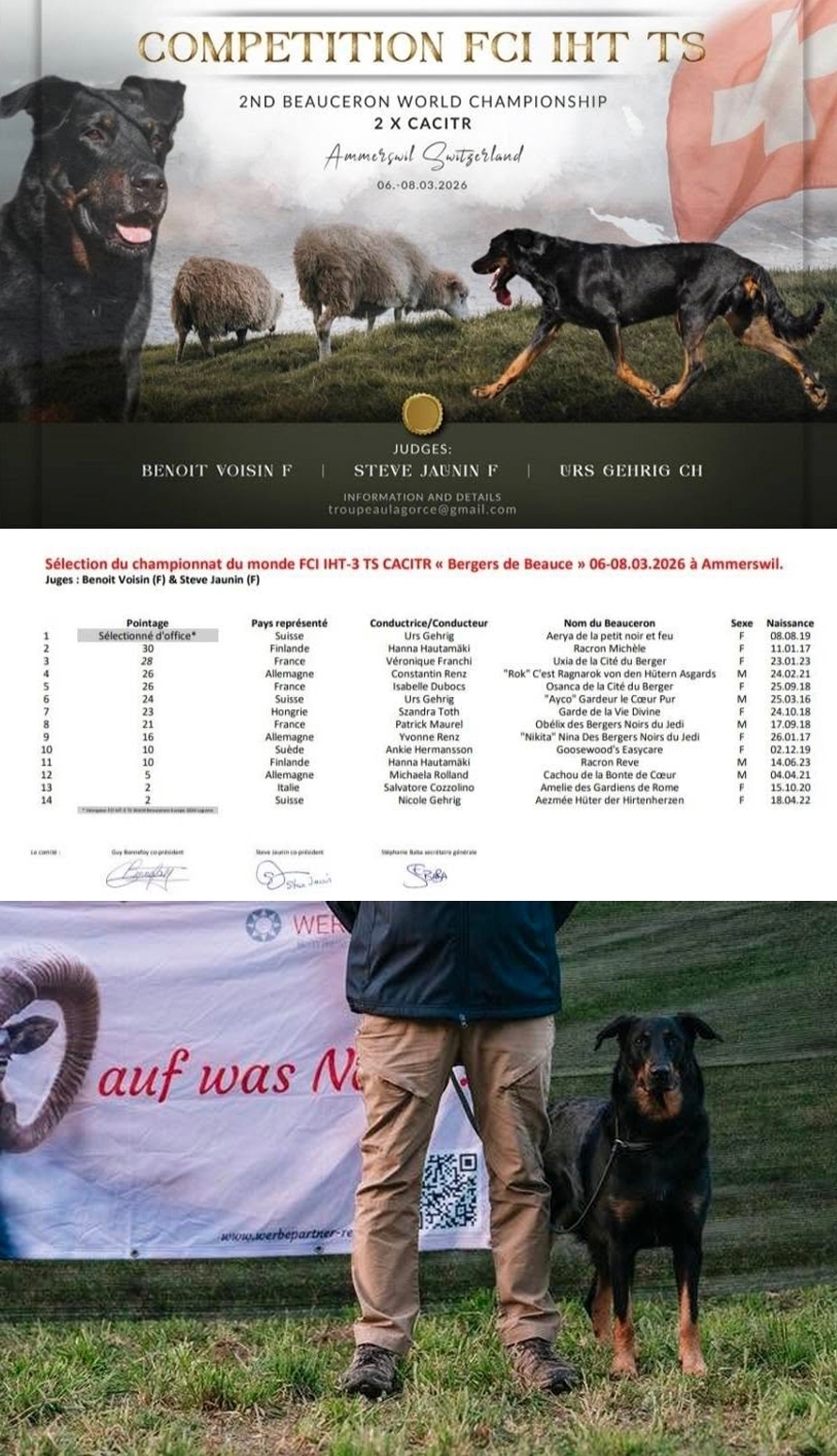 II Beauceron World Championship FCI IHT3 TS, Ammerswil (Svizzera) - Des Gardiens de Rome